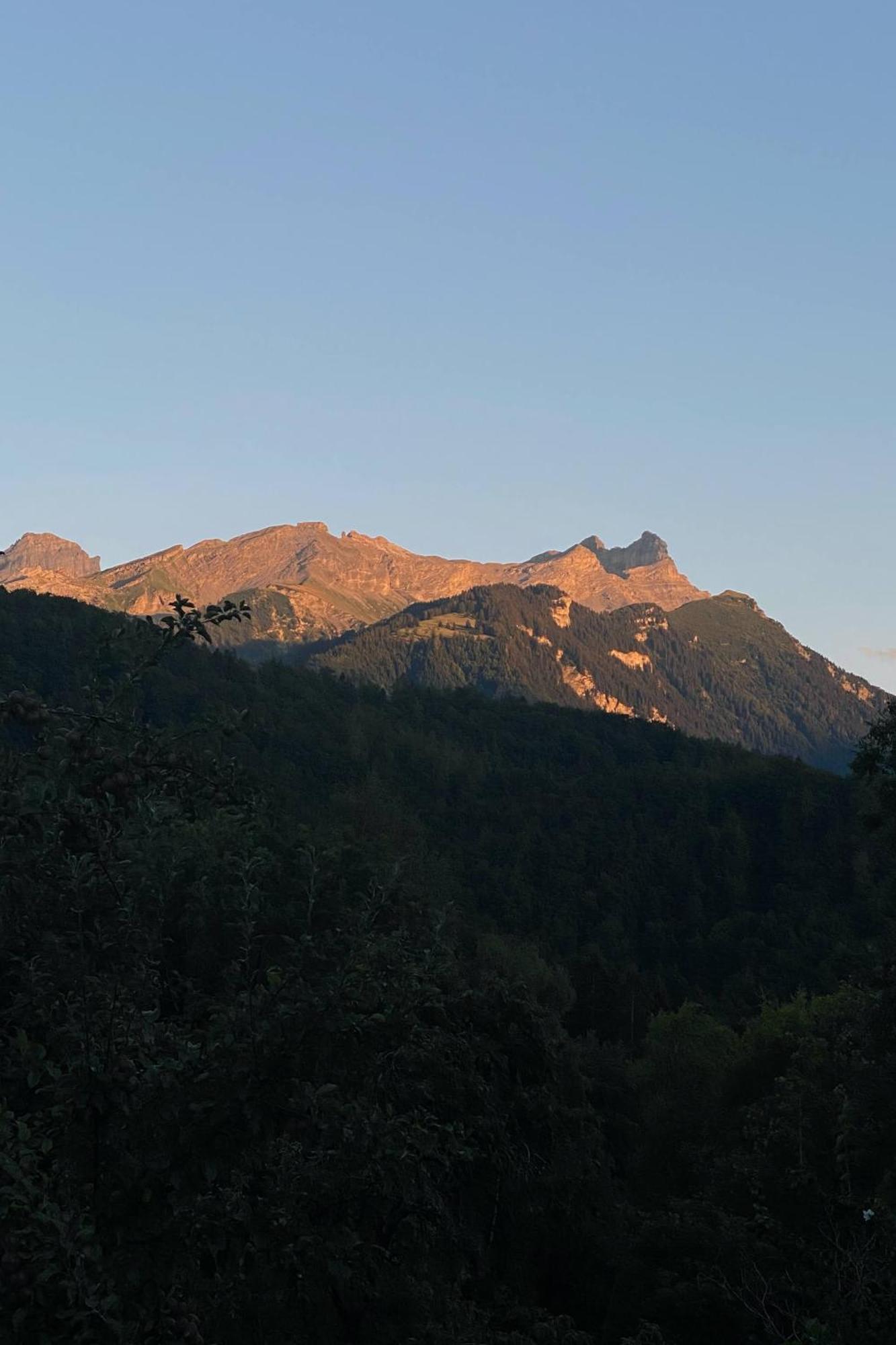 La Petite Grange Villa Villars-sur-Ollon Eksteriør bilde