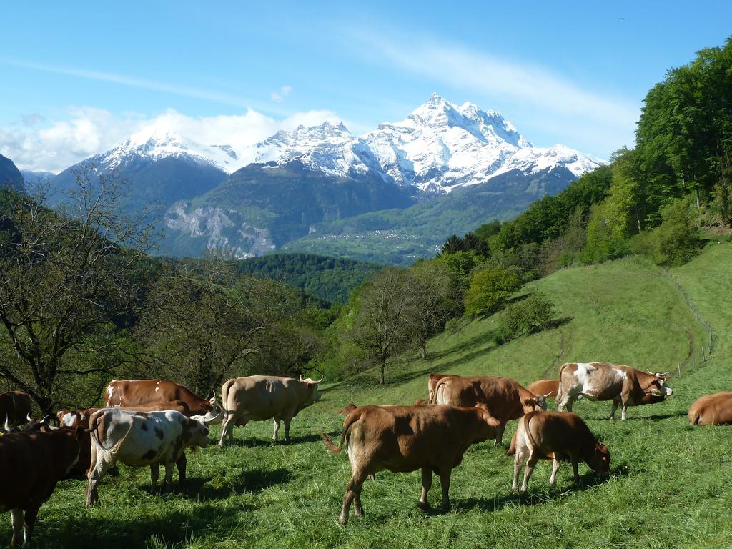 La Petite Grange Villa Villars-sur-Ollon Eksteriør bilde