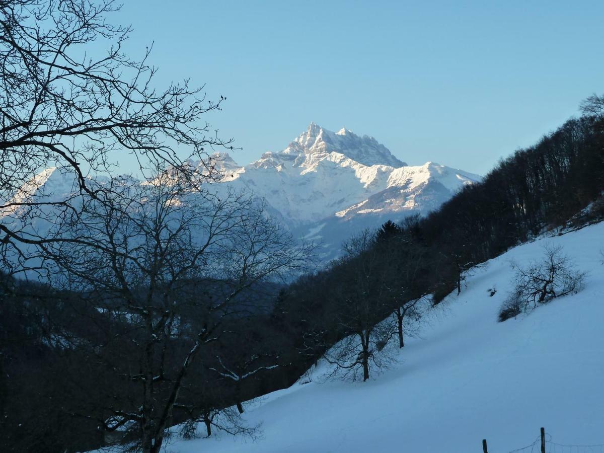 La Petite Grange Villa Villars-sur-Ollon Eksteriør bilde